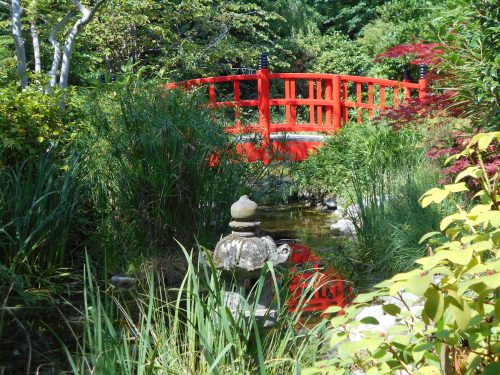 Jardin Japonais 2