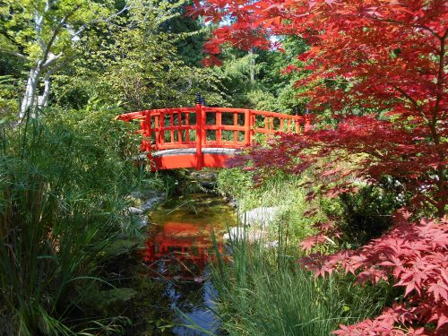 Jardin Japonais 3